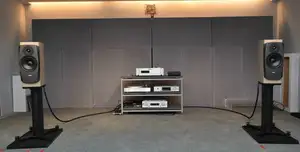 Dynaudio Confidence 20