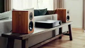 Dynaudio Legend bookshelf