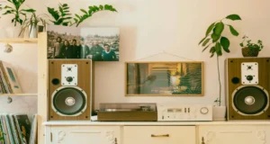 Bookshelf vs. Floorstanding: Can Small Rooms Handle Big Speakers?