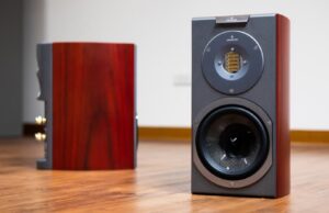 One Speaker, Two Souls: Which Audiovector R 1 is Right for You?