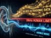 The Hi-Res Audio Myth: Can You Really Hear the Difference Above 16-bit/44.1kHz?