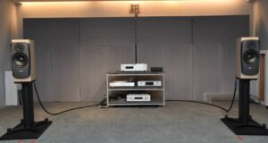 The Silent Monolith: A Definitive Auditing of the Dynaudio Confidence 20